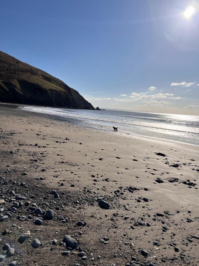 B3 Swn Y Mor Hotell Aberystwyth Eksteriør bilde